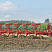 Плуг оборотный Pottinger SERVO 45 S