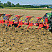 Плуг оборотный Pottinger SERVO 45 S